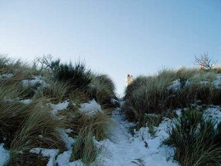 Maison de vacances Blåvand  35