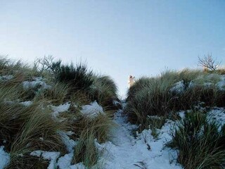Vakantiehuis Blåvand  6