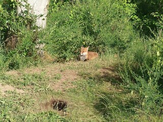 Casa per le vacanze Porsheden  29