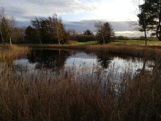 Ferienhaus Porsheden  30