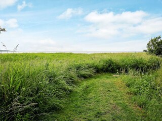 Maison de vacances Jægerspris  5