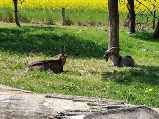 Casa per le vacanze Jægerspris  13