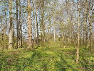 Ferienhaus Jægerspris  8