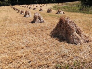 Casa de vacaciones Jægerspris  43