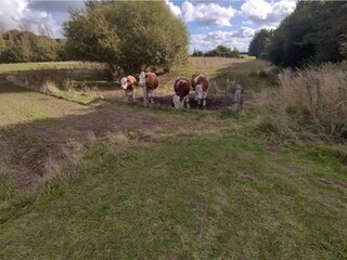 Maison de vacances Jægerspris  32