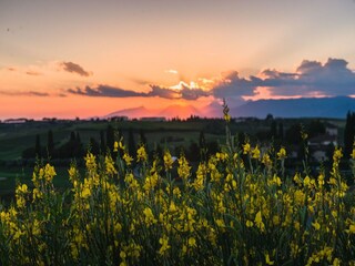 Casa per le vacanze Vinci Ambiente 25