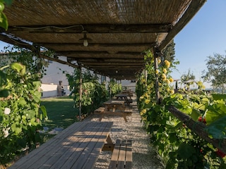 Ferienhaus Vinci Außenaufnahme 11