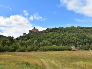 Ferienhaus Calviac-en-Périgord Umgebung 20
