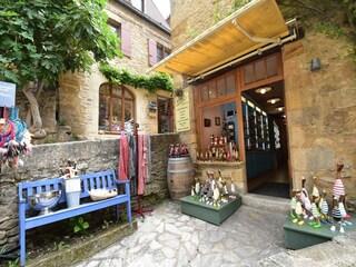 Ferienhaus Calviac-en-Périgord Umgebung 24