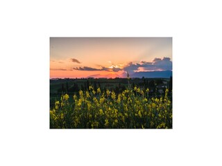 Vakantiehuis Vinci Buitenaudio-opname 14