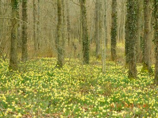 Casa per le vacanze Beauraing Ambiente 28