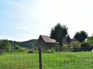 Casa per le vacanze Calviac-en-Périgord Ambiente 29