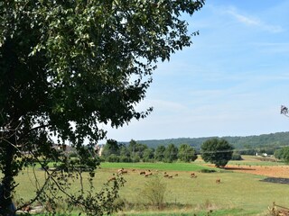 Casa per le vacanze Calviac-en-Périgord Registrazione all'aperto 5