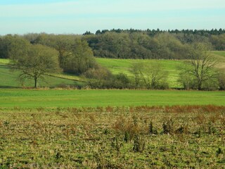 Casa per le vacanze Beauraing Ambiente 35