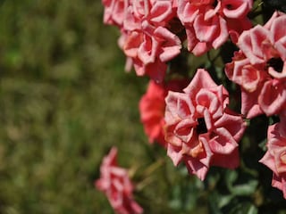 Vakantiehuisje Dicomano  34