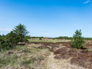 Casa de vacaciones Blåvand  4