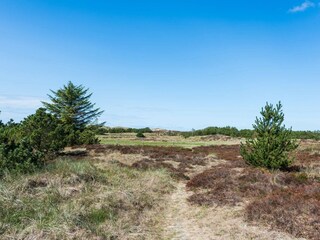 Vakantiehuis Blåvand  9