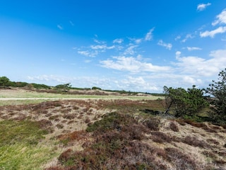 Holiday house Blåvand  16