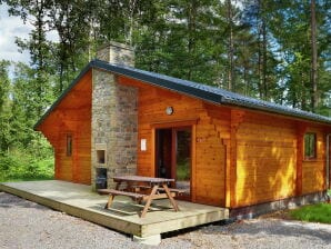 Ferienpark Modernes Holzchalet mit Ofen, im Wald gelegen - Viroinval - image1