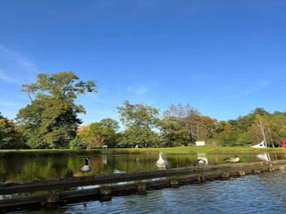 Parc de vacances Viroinval Environnement 22