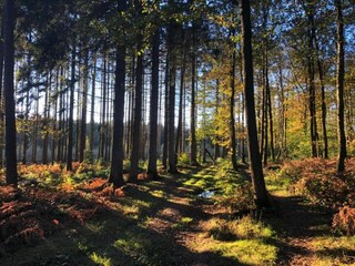 Vakantiepark Viroinval Omgeving 39
