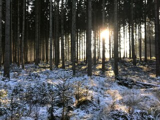 Ferienpark Viroinval Umgebung 26