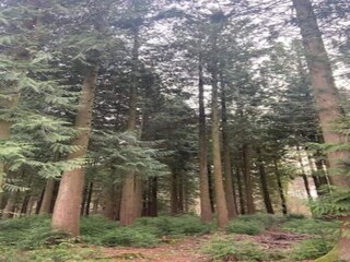 Parc de vacances Viroinval Environnement 37