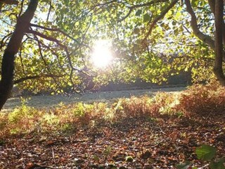 Ferienpark Viroinval Umgebung 40
