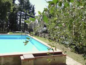 Maison de vacances Gîte à Piandiscò avec terrasse - Pian di Sco - image1