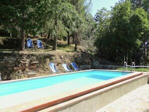 Ferienhaus in Piandiscò mit Terrasse