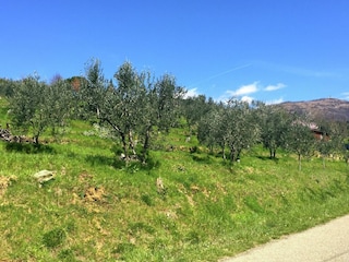 Maison de vacances Pian di Scò Environnement 17