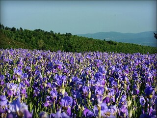 Casa vacanze Pian di Scò Ambiente 18