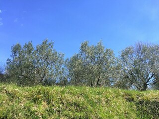 Vakantiehuisje Pian di Scò Omgeving 19