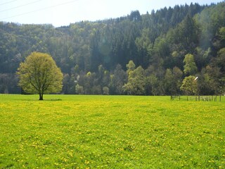 Ferienhaus Vielsalm Umgebung 35