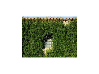 Landhaus Ponte da Barca  36