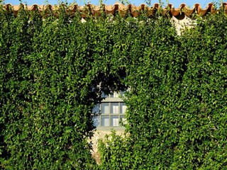 Cottage Ponte da Barca  35
