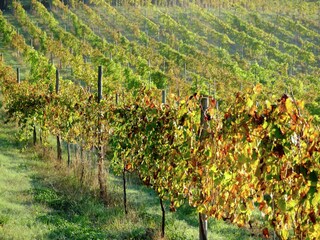 Casale Ponte da Barca Ambiente 30