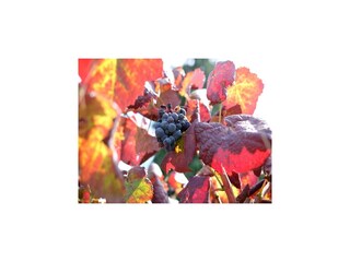 Landhaus Ponte da Barca  38