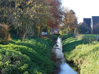 Bachlauf hinter unserm Haus