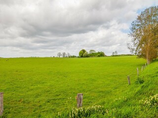 Vakantiehuis Neufchâteau Omgeving 29