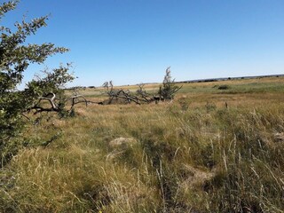 Casa per le vacanze Vesløs  18