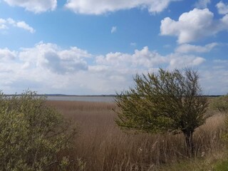 Casa per le vacanze Vesløs  19