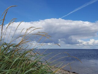 Casa per le vacanze Vesløs  21