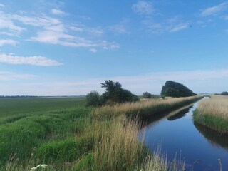 Casa per le vacanze Vesløs  22