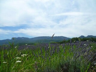 Casa de vacaciones Portes-en-Valdaine Entorno 34