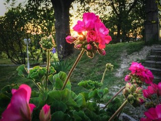 Casa de vacaciones Portes-en-Valdaine  42