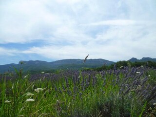 Ferienhaus Portes-en-Valdaine Umgebung 30