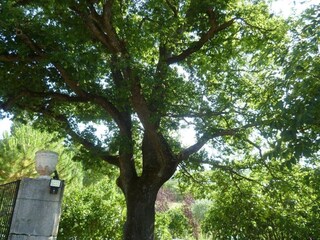 Casa de vacaciones Portes-en-Valdaine Grabación al aire libre 5