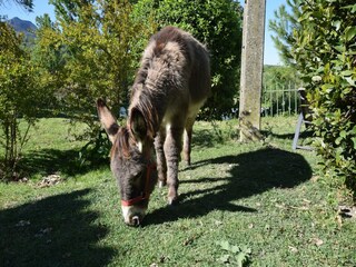 Casa per le vacanze Portes-en-Valdaine Registrazione all'aperto 9