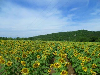Casa de vacaciones Portes-en-Valdaine Entorno 31